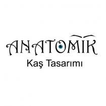 anatomik kaş tasarımı