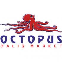 octopus dalış market
