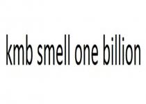 kmb smell one billion