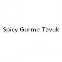 spicy gurme tavuk