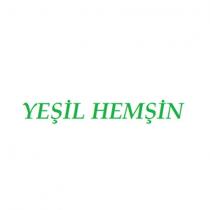 yeşil hemşin