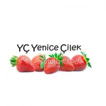 yç yenice çilek