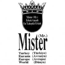 mister mr. turkey (türkiye) euroasia (avrasya) europe (avrupa) world (dünya)mister (mr.) erkek güzeli en yakışıklı erkek