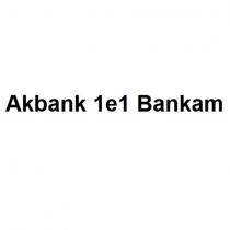 akbank 1e1 bankam