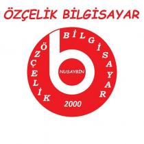 özçelik bilgisayar nusaybin 2000