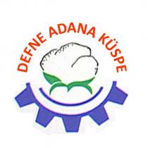 defne adana küspe