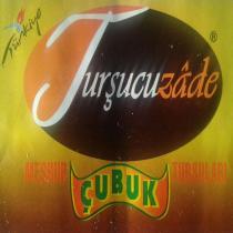 turşucu zade meşhur çubuk turşuları