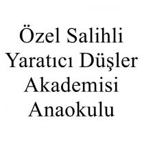 özel salihli yaratıcı düşler akademisi anaokulu