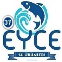37eyce su urunleri