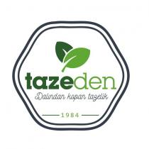 tazeden dalından kopan tazelik 1984