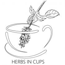 herbs in cups