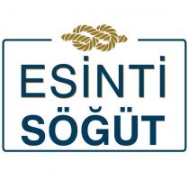 esinti söğüt
