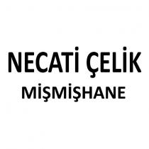 necati çelik mişmişhane