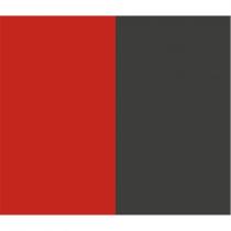 renk markası (pantone 18-1664 tcx fiery red, pantone black 7 xgc)