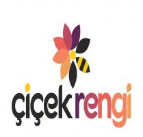 çiçek rengi