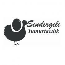 sındırgılı yumurtacılık
