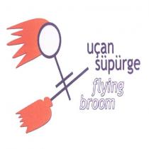 uçan süpürge flying broom