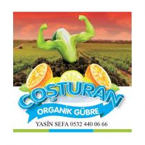 coşturan organik gübre yasin sefa 0532 440 06 66