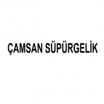 çamsan süpürgelik