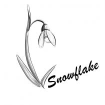 snowflake