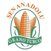 şen anadolu grano turco