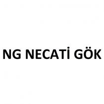 ng necati gök