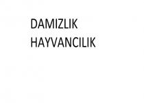 damızlık hayvancılık