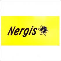 nergis