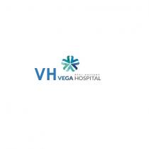 vh vega hospital