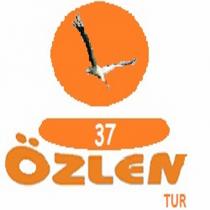 37 özlen tur