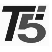 t5