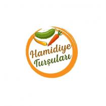 hamidiye turşuları