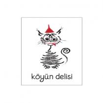 köyün delisi