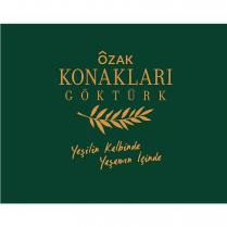 özak konakları göktürk yeşilin kalbinde yaşamın içinde