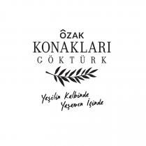 özak konakları göktürk yeşilin kalbinde yaşamın içinde