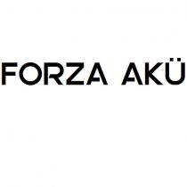 forza akü
