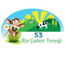 53 rize çaykent tereyağı