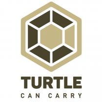 şekil turtle can carry