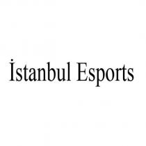 istanbul esports