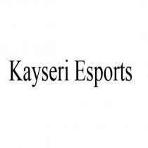 kayseri esports