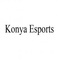 konya esports
