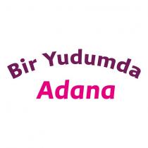 bir yudumda adana