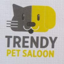 trendy pet saloon