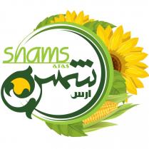 shams aras