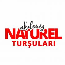 akdeniz naturel turşuları