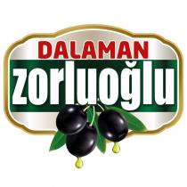 dalaman zorluoğlu