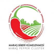 maraş biberi kümelenmesi maraş pepper cluster adıyaman gaziantep kahramanmaraş kilis şanlıurfa