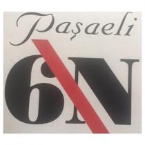 paşaeli 6n