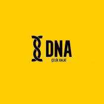 dna çelik halat
