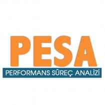 pesa performans süreç analizi